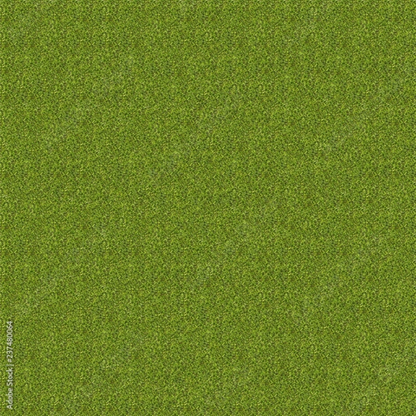 Obraz High resolution grass texture - seamless