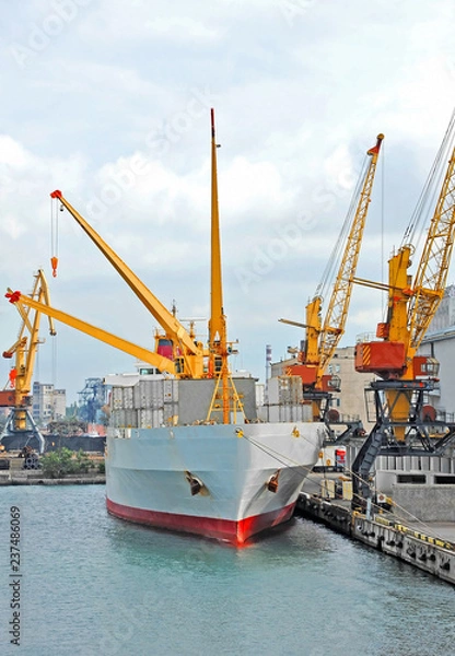 Fototapeta Port cargo crane, ship and container