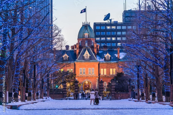 Obraz 北海道の冬　札幌 北海道道庁ライトアップ