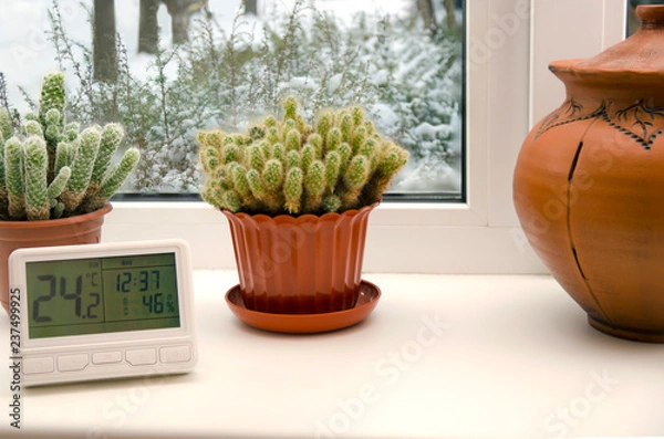 Obraz Умный дом. Дистанционное управление  бытовым газовым оборудованием.