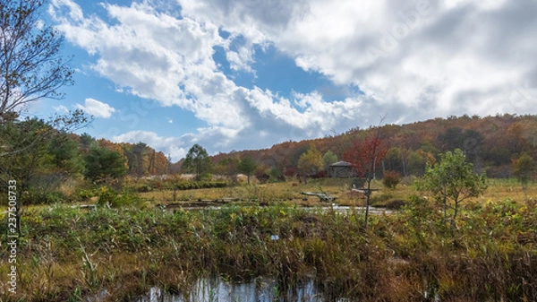 Fototapeta 羽鳥湖高原の秋