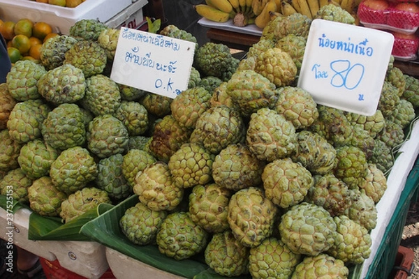 Obraz OLYMPUS DIGITAL CAMERA