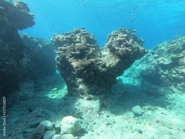 Fototapeta ハート