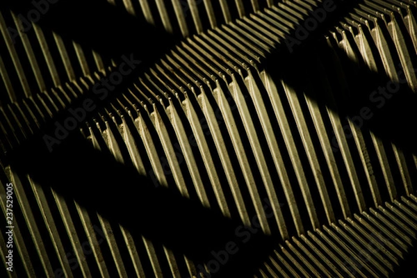 Fototapeta golden shadow