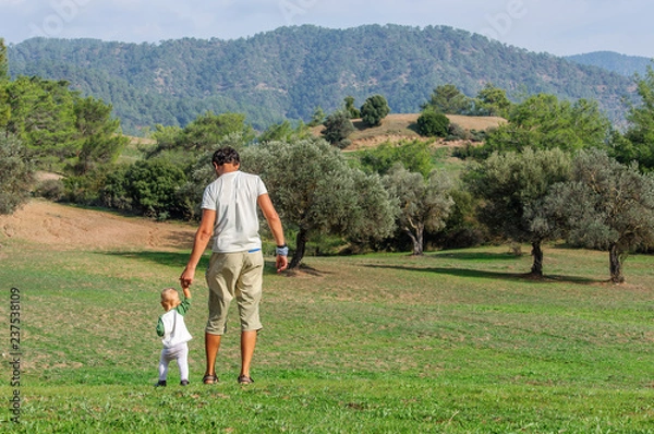 Obraz happy dad with small child walk in an olive grove