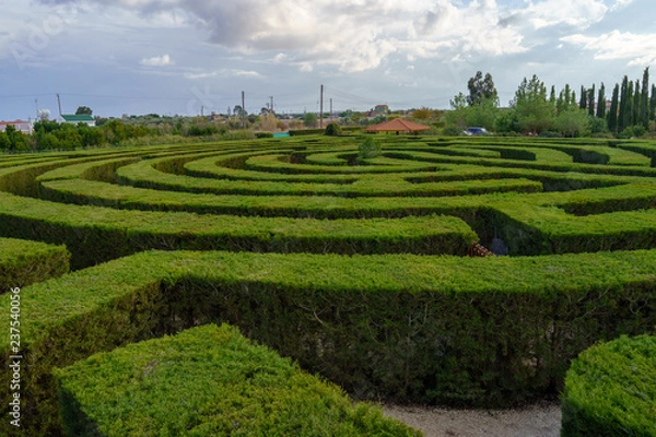 Fototapeta Green bushes maze view from above for garden