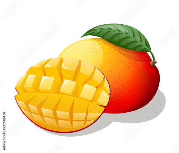 Fototapeta Mango. Vector illustration.