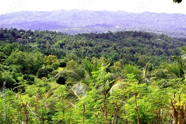 Fototapeta Image of ravines and mountains with tropical vegetation  in the Philippines