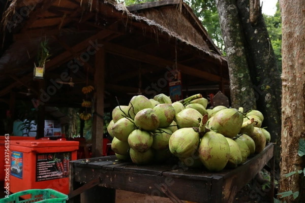 Obraz coconuts on the market