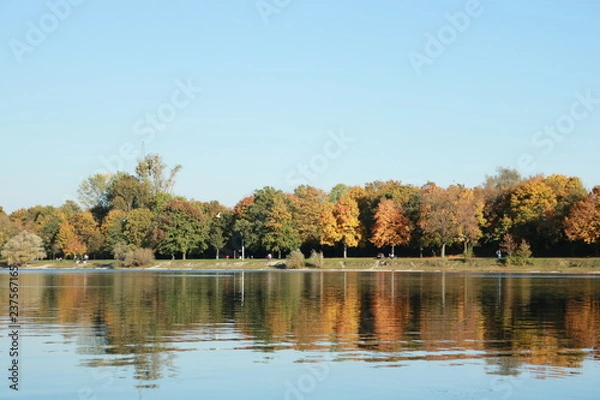 Obraz lake in forest
