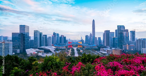 Fototapeta Shenzhen City Skyline and Architectural Landscape Nightscape..