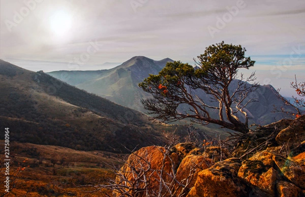 Obraz sunset in the mountains