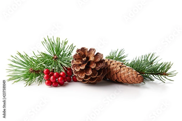 Obraz Świąteczna dekoracja z holly berry i szyszki
