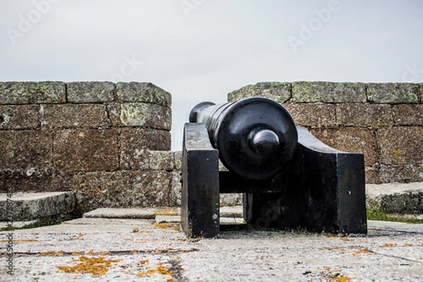 Fototapeta cañon de guerra 