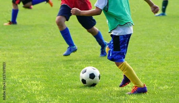 Fototapeta サッカー　フットボール