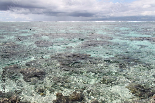 Obraz Jardin aquarium
