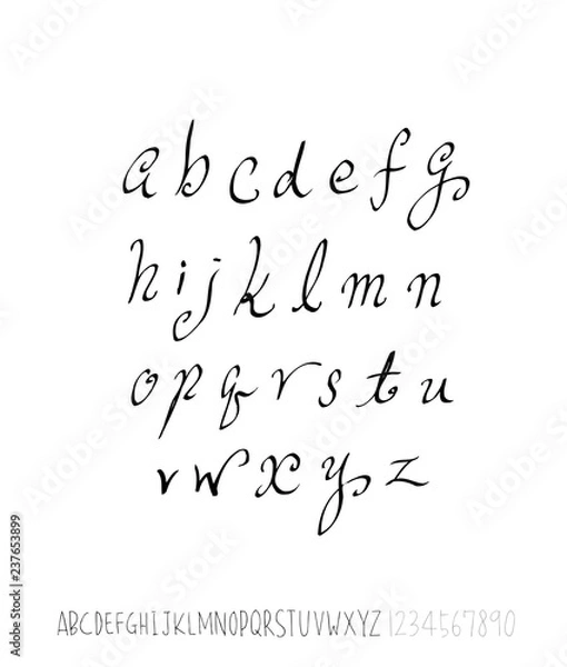 Fototapeta 벡터 문자 / 손으로 쓴 글씨체