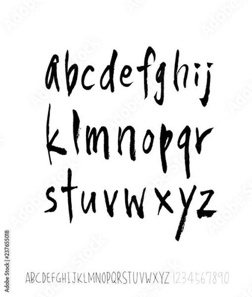 Fototapeta 벡터 문자 / 손으로 쓴 글씨체