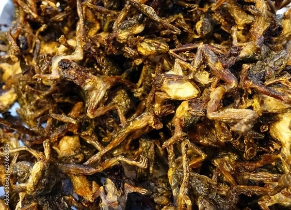 Obraz Yummy Fried Frogs