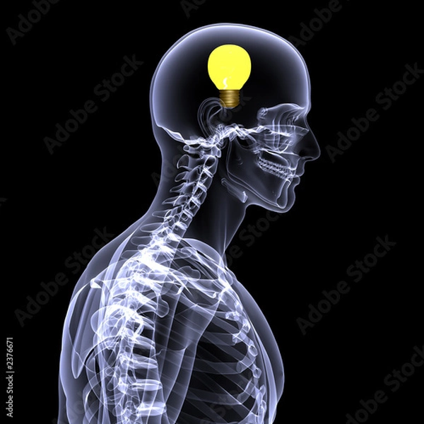 Obraz skeleton x-ray - idea 2