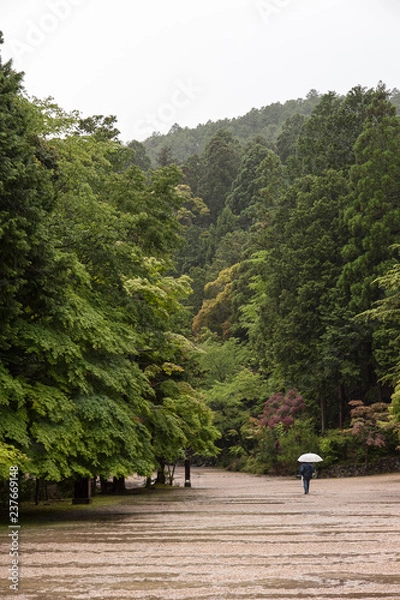 Obraz Person walking in rain
