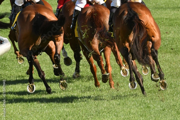Obraz Horse racing action
