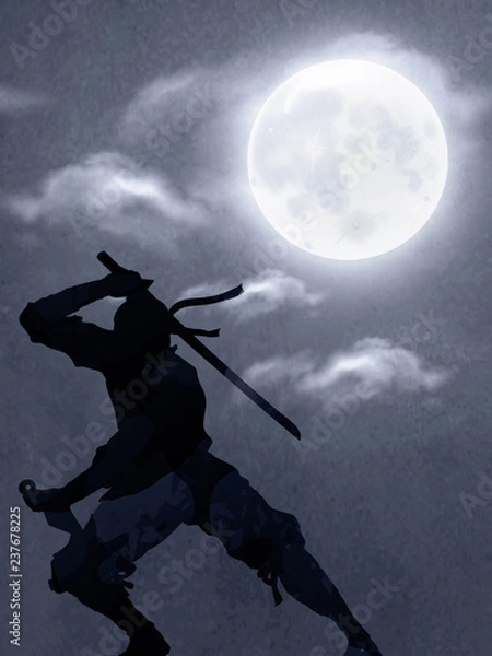 Obraz A Japanese Ninja Under The Moonlight 