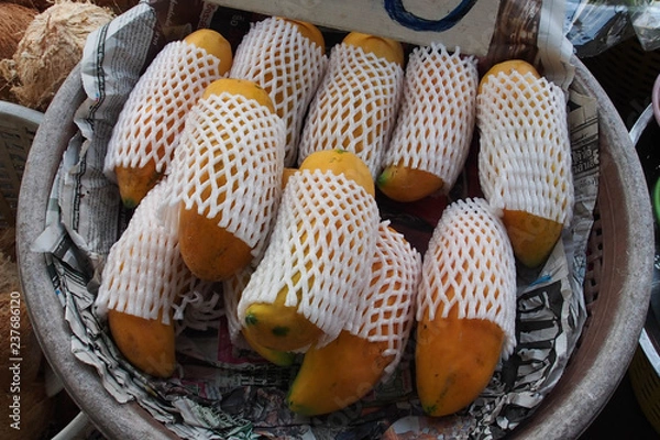 Obraz OLYMPUS DIGITAL CAMERA