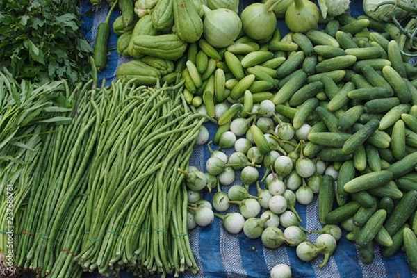 Obraz OLYMPUS DIGITAL CAMERA