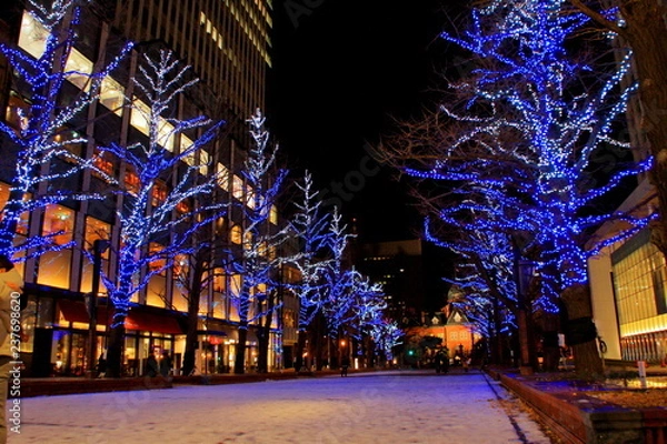 Obraz 北海道、札幌市 、北3条広場akapuraのホワイトイルミネーションの風景、