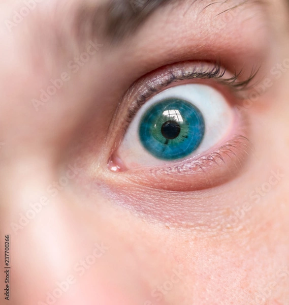 Fototapeta Occhio