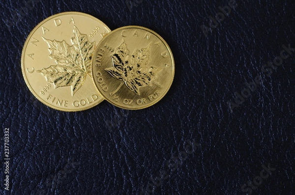 Obraz カナダの金貨 gold coin