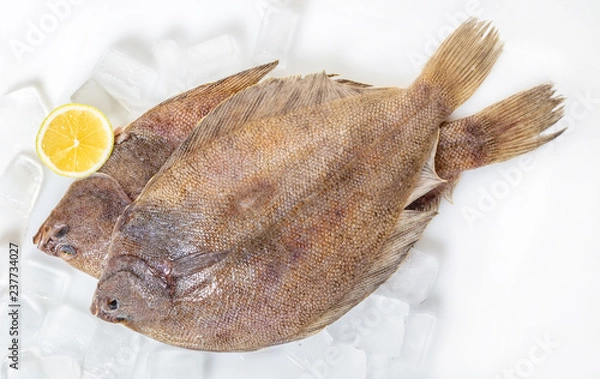 Fototapeta fresh raw flounder fish