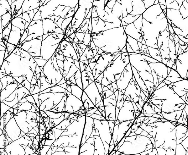 Obraz vector seamless texture of the branches on the white background