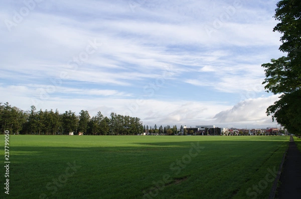 Fototapeta 公園の風景
