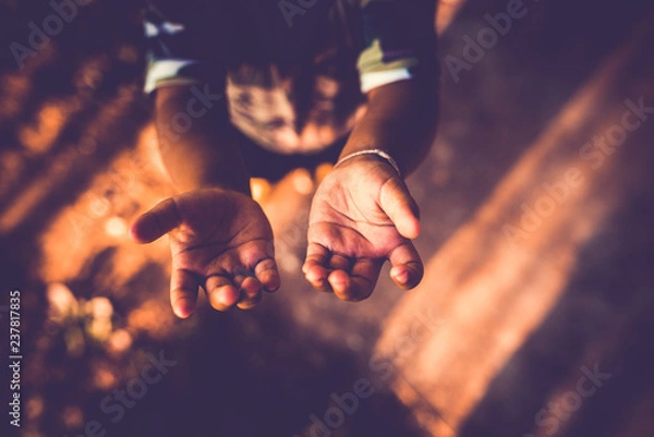Fototapeta Closeup the boy open hand ask money.