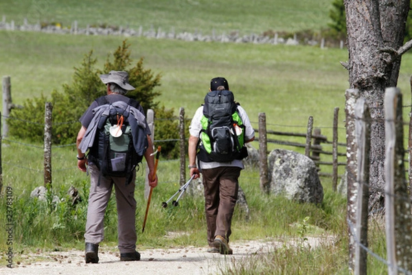 Obraz Pélerin de Compostelle