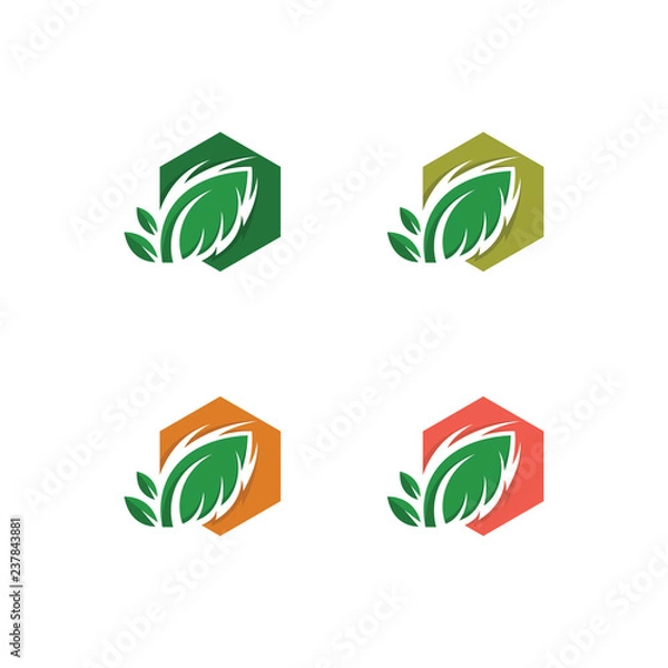 Fototapeta Tree Leaf Vector icon Illustration design template