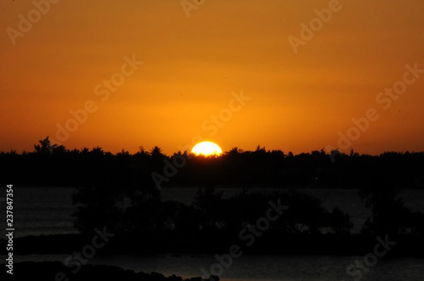 Obraz Sunset over the trees