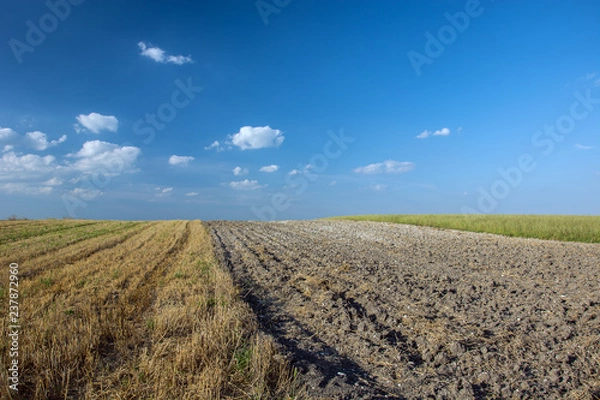 Fototapeta Plowed field bordered by stubble