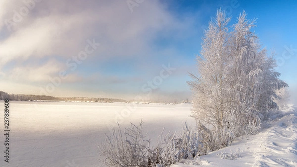 Obraz зимний пейзаж на Уральской реке с туманом и деревьями в снегу, Россия, январь