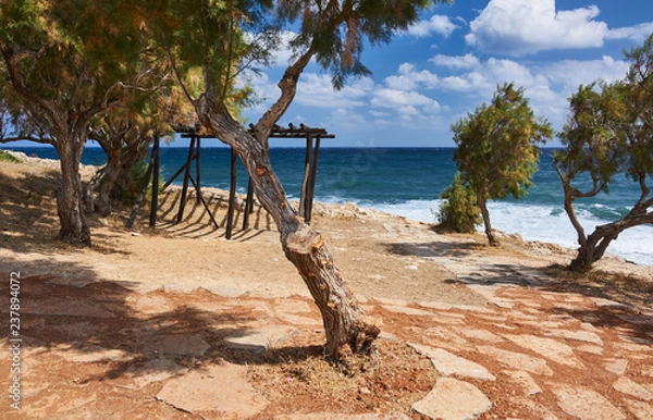 Fototapeta The seaview