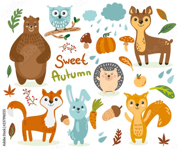 Obraz Set of illustrations with animals on the theme of autumn bear fox hedgehog squirrel squirrel deer owl pumpkin mushrooms leaves rain mountain ash different pictures for children