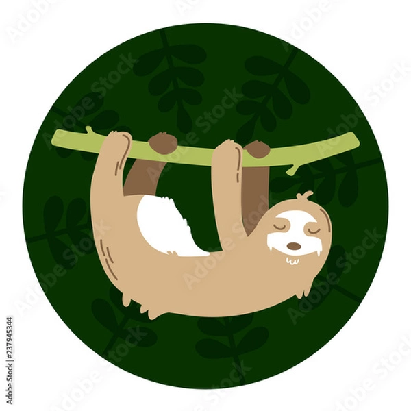Fototapeta Sloth hanging on a branch in a green background