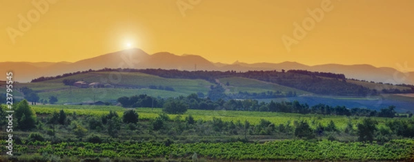 Obraz Prowansalska taca drome