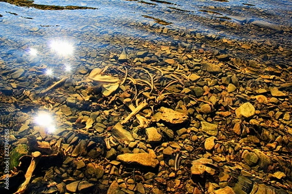 Obraz Река Буотама. Медвежьи кости под водой, и еще кое что...