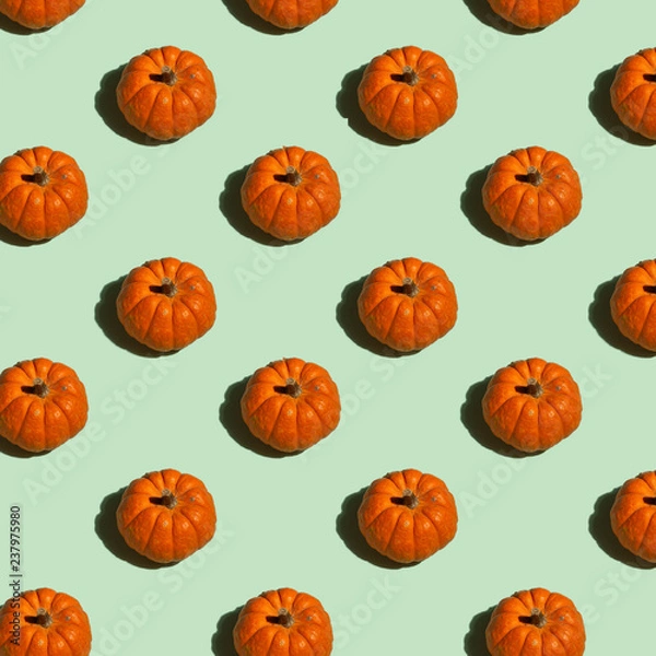 Obraz Orange Pumpkin Pattern
