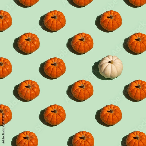 Obraz Orange and White Pumpkin Pattern