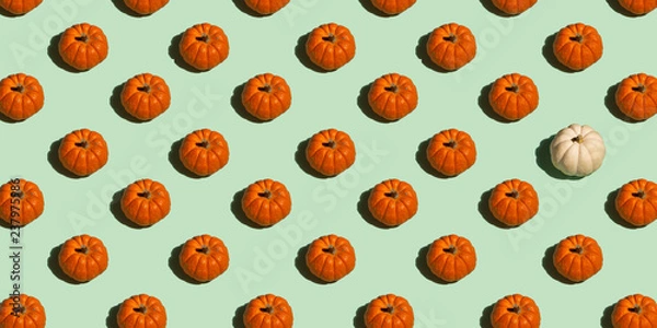 Obraz Orange and White Pumpkin Pattern