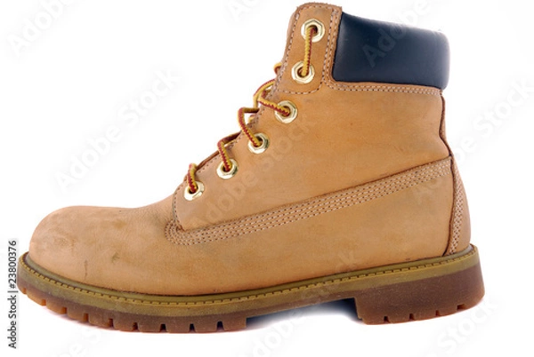 Obraz boot